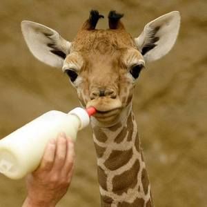 Meet your Posher, Christa